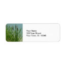 Search for river return address labels Nature