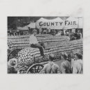 Search for fairness postcards Retro