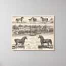 Search for include canvas prints City