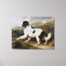 Search for newfoundland canvas prints Vintage