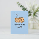 Search for i love cats postcards Kitty