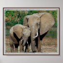 Search for side by side posters Elephant