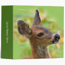 Search for deer fawn binders Forest