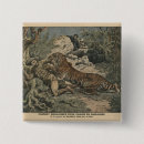 Search for 1907 accessories French