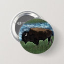 Recherche de bisons badges Américain