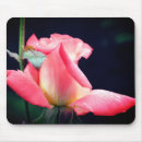Search for dew mousepads Photography