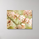 Search for cherry blossom tree canvas prints Pink