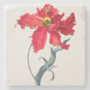 Recherche de perroquet dessous de verres Tulipe