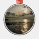 Search for skies ornaments Sunset