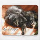 Search for tortie electronics Feline