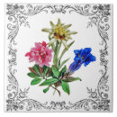 Recherche de edelweiss maison deco Alpin