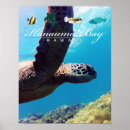 Recherche de poissons tropicaux posters Sous marin
