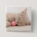 Search for shorthair buttons Cat
