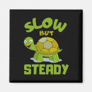 Search for tortoise magnets Reptile