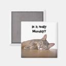 Search for meme magnets Funny cat meme