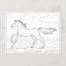 Recherche de gallon cartes postales Cheval
