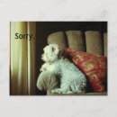 Search for sorry card postcards Blue