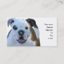 Recherche de bouledogue cartes visite Chiot