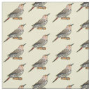 Search for flickers Bird