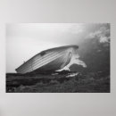 Search for black and white boats posters Photography
