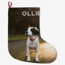 Search for dog lover christmas stockings Cat