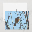 Recherche de vides cartes postales Arbre