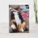 Search for funny cat mothers day cards Mom