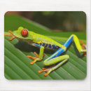 Search for tree frog mousepads Frogs