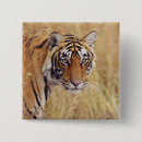 Search for bengal buttons Endangered