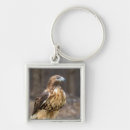 Search for tail feather keychains Wildlife