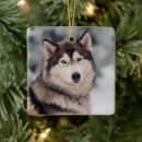 Search for husky ornaments Alaskan malamute