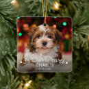Search for elegant pet memorial ornaments Dog photo