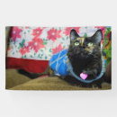 Search for fuzzy cat posters Kitty