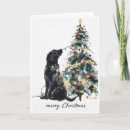 Search for black lab christmas cards Dog