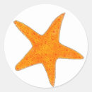 Search for orange stars stickers Summer