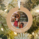 Search for moana ornaments Disney princess