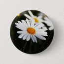 Search for daisy picture buttons Botanical
