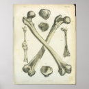Search for crossed bone art Bones