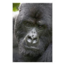 Recherche de portrait de gorille art Afrique
