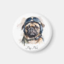 Search for pet pug magnets Cute dog
