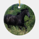 Search for thoroughbred horse ornaments Moving