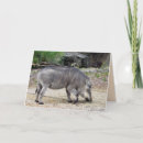 Search for warthog cards Wild