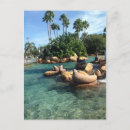 Recherche de monde marin cartes postales Mer