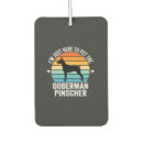 Recherche de amour chiot voiture accessoires Chien drôle