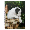 Search for boxer dog notebooks Puppies