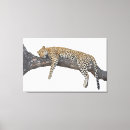 Search for african safari canvas prints Wildlife