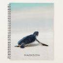Search for turtle planners Sea life
