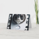 Search for funny clothing postcards Kitty