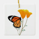 Recherche de butterfly ornements Insects