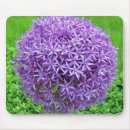 Search for flower blossom electronics Lavender